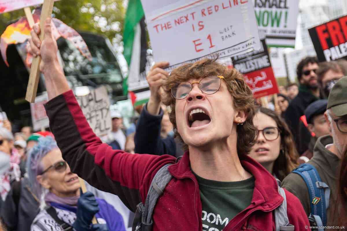 Twenty arrested at pro-Palestine march in central London as protesters clash with police