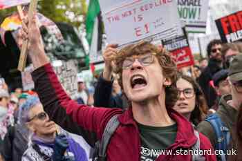 Twenty arrested at pro-Palestine march in central London as protesters clash with police