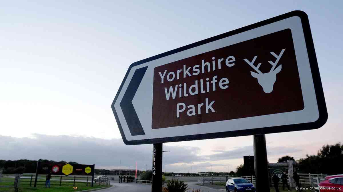 Police update on tiger's condition after fatal attack at Yorkshire Wildlife Park