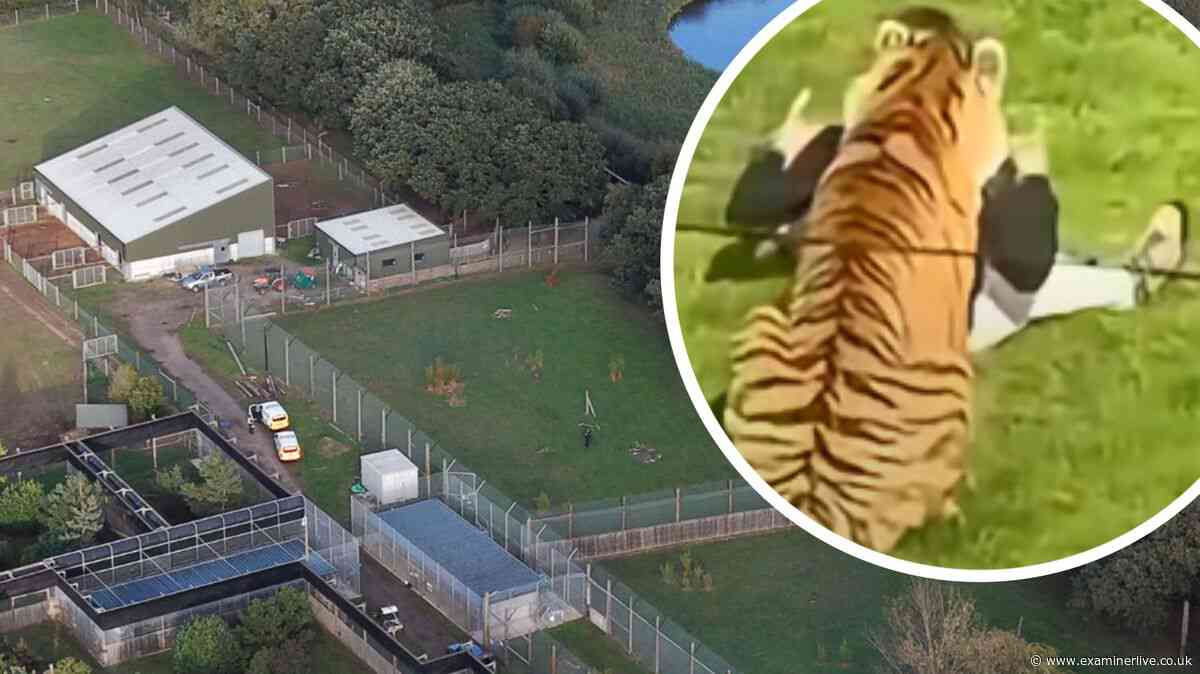 Yorkshire Wildlife Park visitors 'upset' as man mauled to death by tiger after 'jumping in'