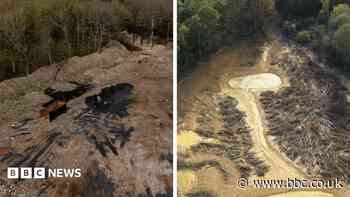 £15m spent cleaning illegal waste supersite in ancient woodland