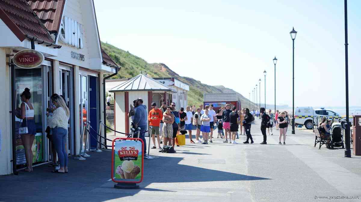 Councillor in a lather over dog wash and shampoo proposal for seaside promenade