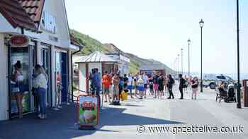Councillor in a lather over dog wash and shampoo proposal for seaside promenade
