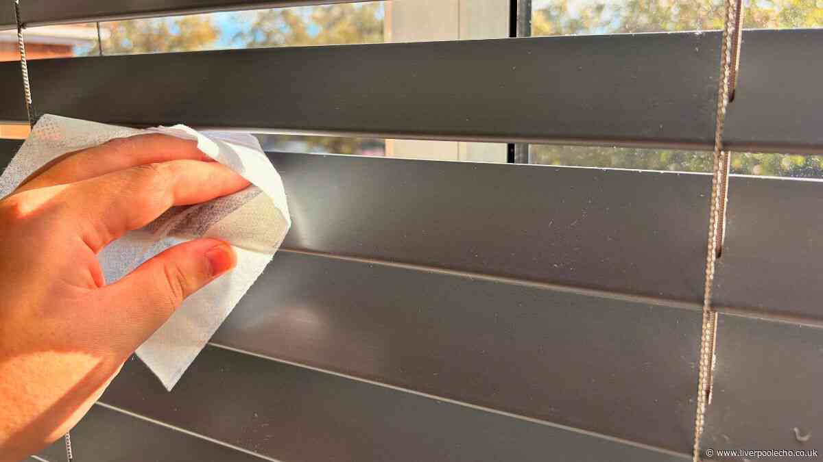 My blinds stay dust-free for months if I wipe them with 1 cheap Home Bargains item