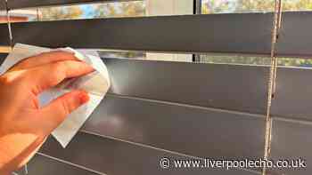 My blinds stay dust-free for months if I wipe them with 1 cheap Home Bargains item