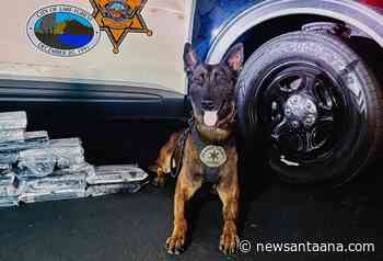 South OC I-5 freeway traffic stop leads to major cocaine bust