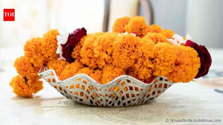 Want your Navratri marigolds to last longer? Avoid these common flower-care mistakes