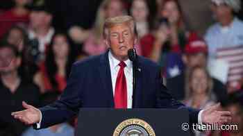 Trump continues red state campaign swing with Montana, Arizona rallies next week