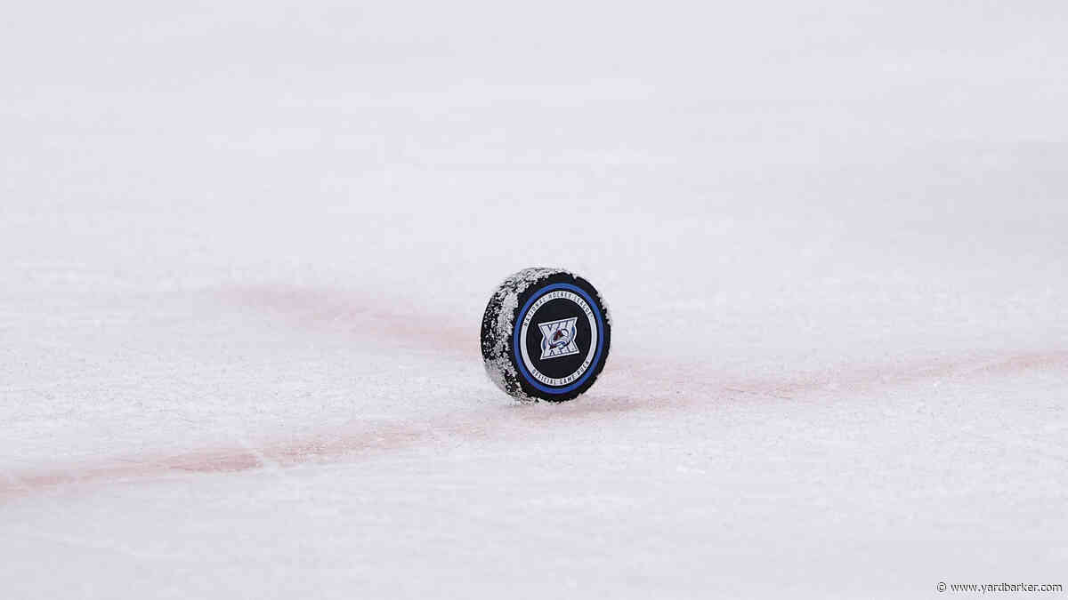Inflatable hot dog falls on ice during Canadiens, Red Wings game
