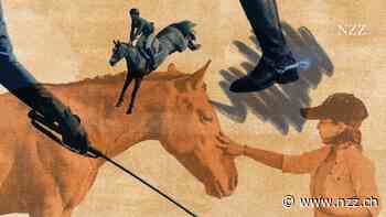 Das Pferd als Partner – so respektieren Sie beim Reiten das Tier
