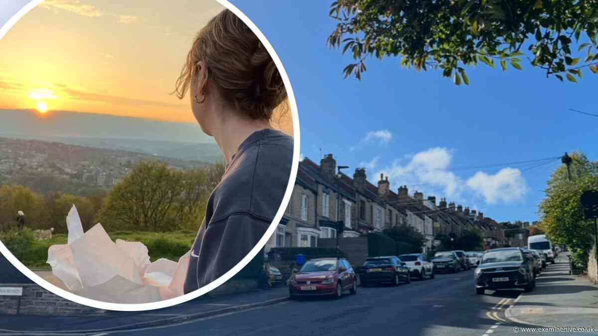 Life in Sheffield suburb with 'nice mix' ranked one of UK's 'coolest'