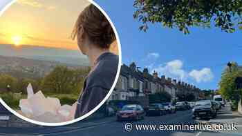 Life in Sheffield suburb with 'nice mix' ranked one of UK's 'coolest'