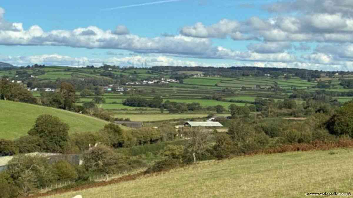 The near-perfect autumn walk with horses, hens and pumpkins just 25 minutes from Cardiff