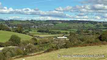 The near-perfect autumn walk with horses, hens and pumpkins just 25 minutes from Cardiff