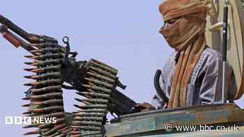 Drone strike by Sudan paramilitary kills 41 near Ethiopian border, rights group says
