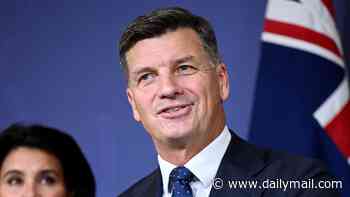 Angus Taylor's office denies wiping reference to future Coalition 'bust-ups' from official transcript