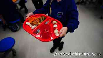 Cash-strapped council 'cannot afford to continue to subsidise school meals'