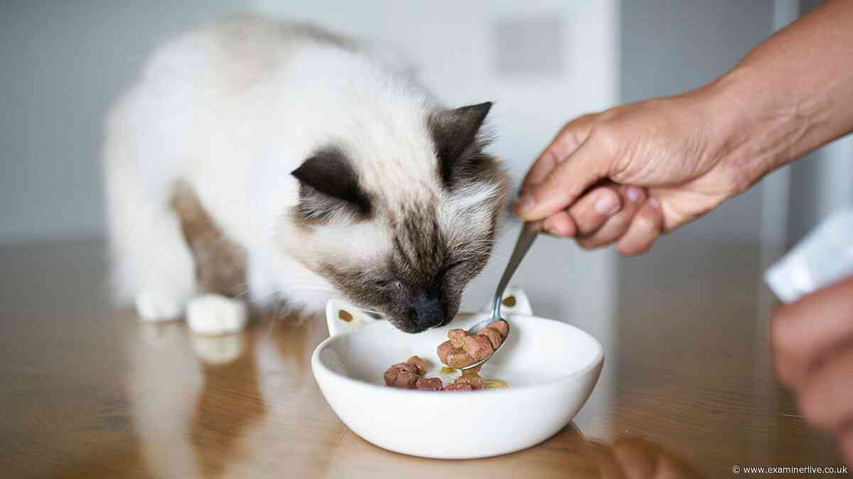 RSPCA warning as you may want to change what cat food you use