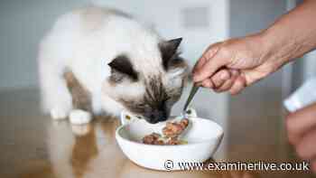 RSPCA warning as you may want to change what cat food you use