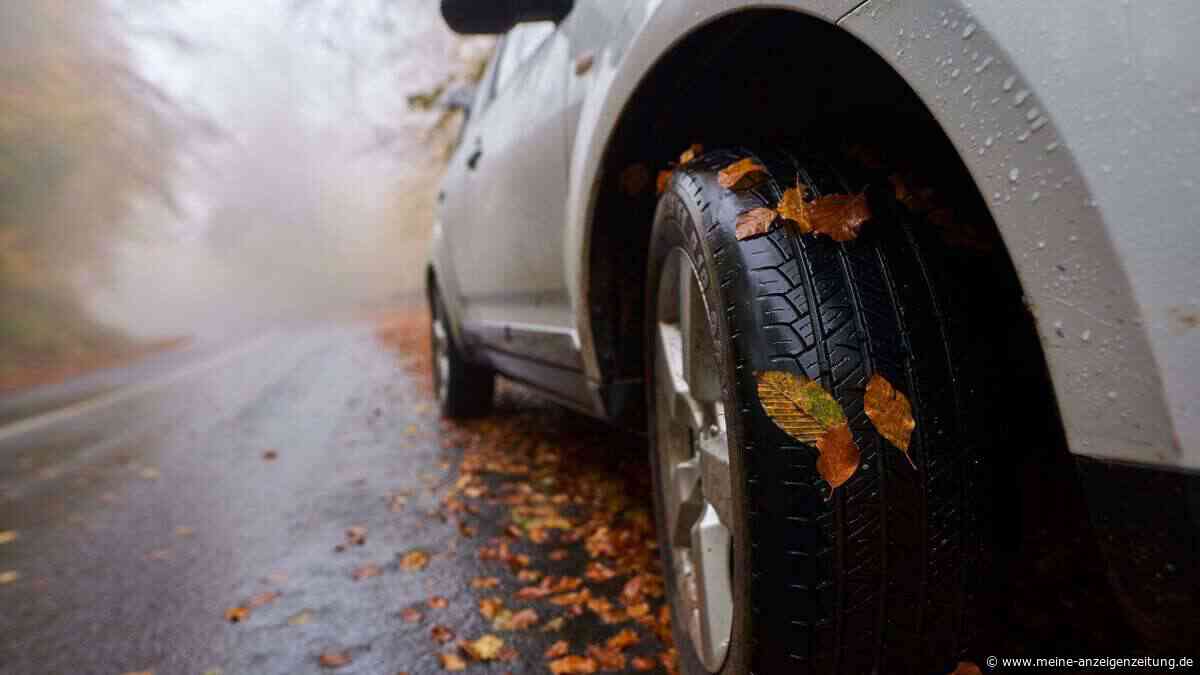 Tipps vom „GRIP“-Experten Matthias Malmedie: So machen Sie Ihr Auto fit für Herbst und Winter