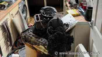 Fire chief warns 'it's not worth the risk' as common air fryer mistake destroys kitchens