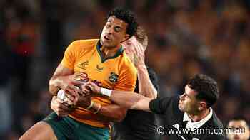 Box clever: Wallabies say accuracy and urgency keys to combatting All Blacks’ aerial dominance