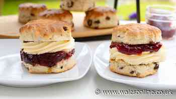 Scones will be softer and lighter if you add one simple ingredient before baking