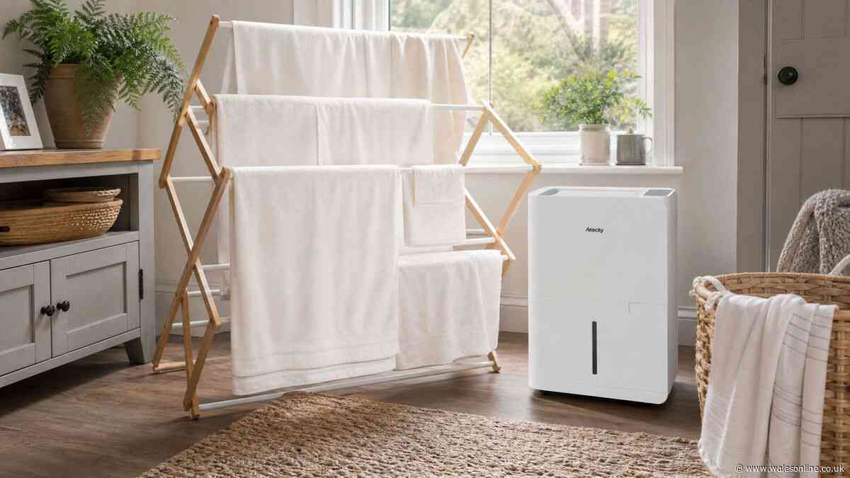 Review: AEOCKY Boreas dehumidifier is the answer to soggy winter homes