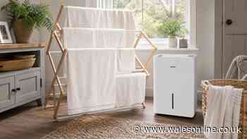 Review: AEOCKY Boreas dehumidifier is the answer to soggy winter homes