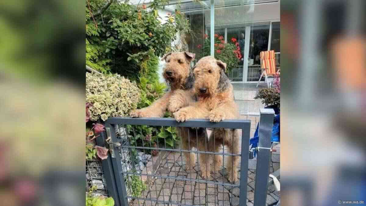 „Zwei Brüder, ein Schicksal“: Für Yago und Yason hat sich plötzlich alles verändert