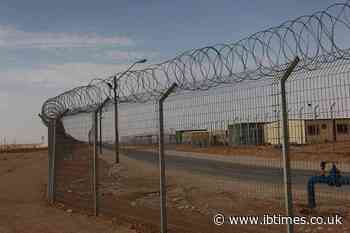 UN Details Israeli Forces Unleashed Attack Dogs on Syrian Detainees as 49 Remain Held After Record Incursions