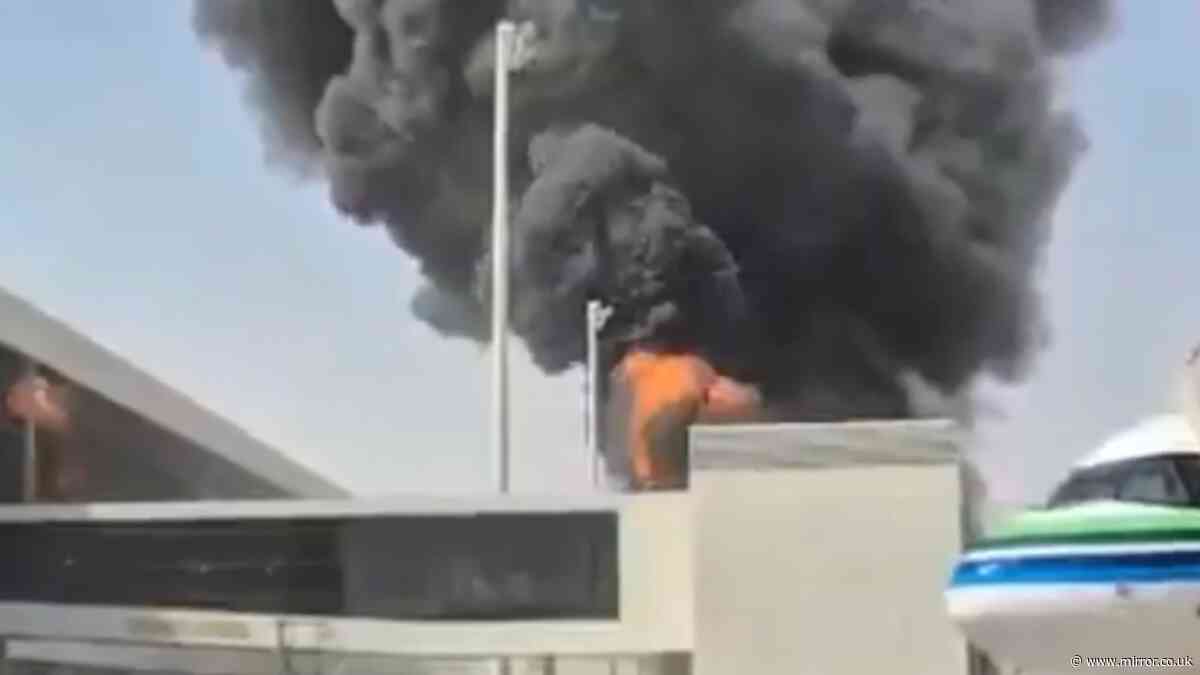 Riyadh airport attack kills 12 and injures hundreds more after Houthi missile strike