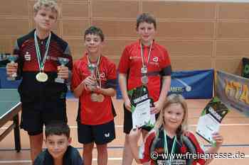Tischtennisspieler aus Schwarzenberg holen fünf Medaillen