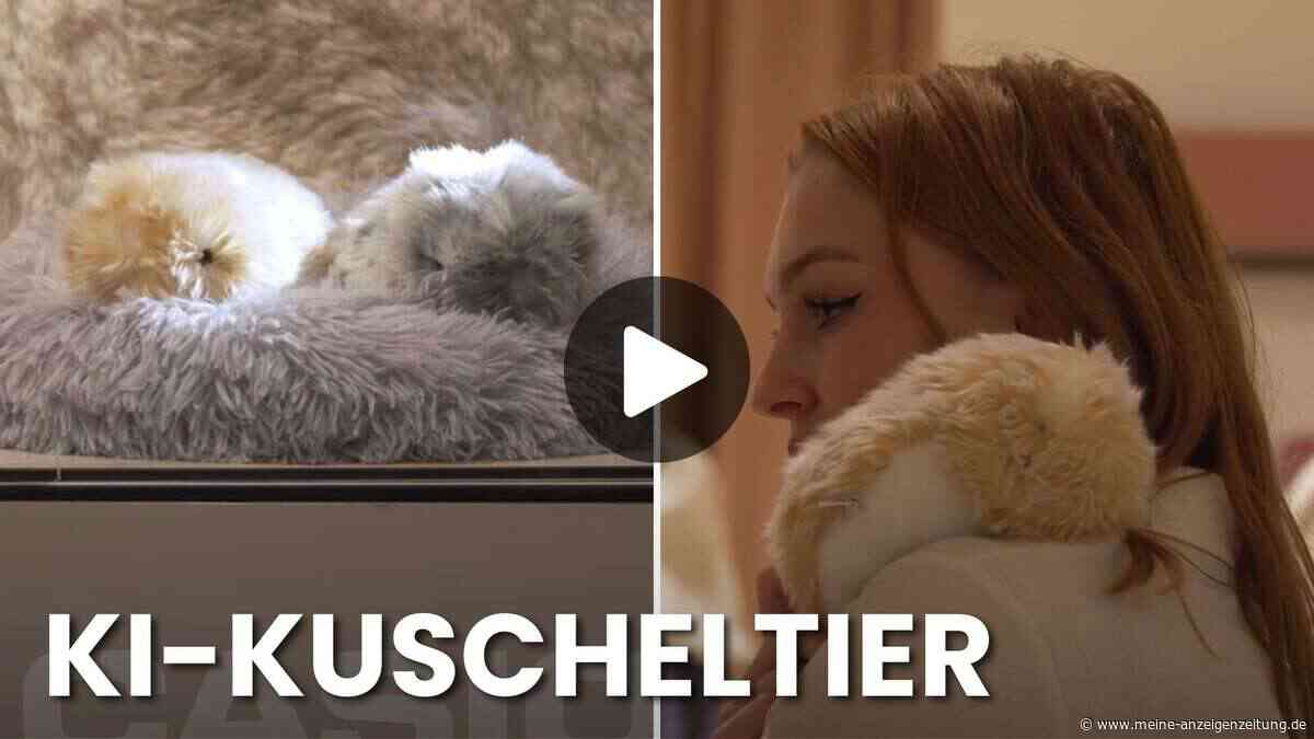 „Weiß nicht, ob ich das im Haus haben wollte“ - KI nun auch in Kuscheltier verbaut