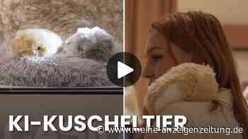 „Weiß nicht, ob ich das im Haus haben wollte“ - KI nun auch in Kuscheltier verbaut