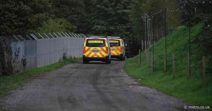 Man killed in tiger enclosure ‘grabbed by throat’ seconds after ‘scaling fence’