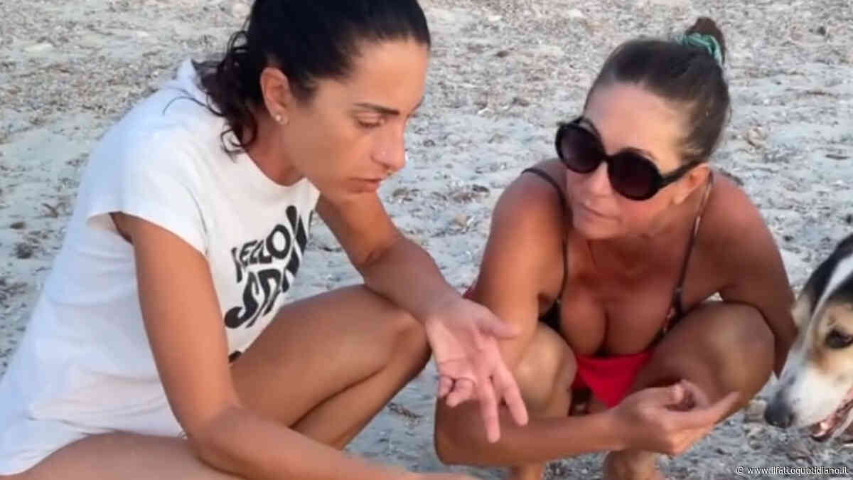 “Un pacchettino trasportato dal mare sulla sabbia ci ha incuriositi: dentro c’era un chilo di cocaina”: Tessa Gelisio racconta il ritrovamento in Sardegna – VIDEO