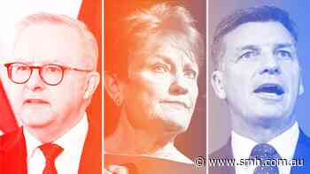 Voters cool on Hanson as Albanese wears the blame for cost of living
