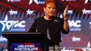 Pauline Hanson names Tony Abbott as her pick as the next Liberal leader after slamming Angus Taylor as 'smarmy'