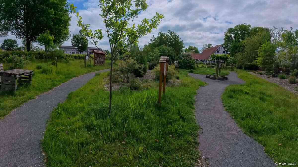 Prachtvolle Fachwerkhäuser, Stille und Erholung: Kleiner Ort in NRW ist Zentrum für Ruhesuchende
