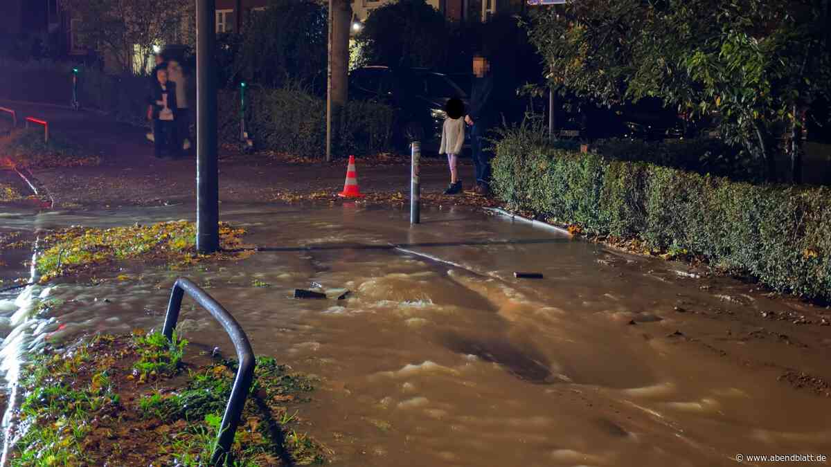 Schon wieder ein Wasserrohrbruch in Hamburg: Mehrere Haushalte ohne Trinkwasser