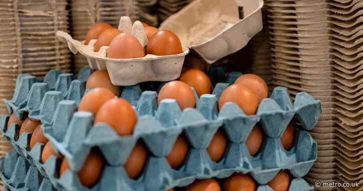 Urgent warning issued after Salmonella found in eggs imported from Ukraine