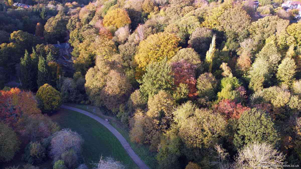 10 of the best autumn walks to enjoy in the North East