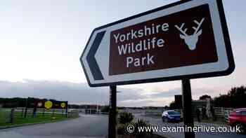 Wildlife expert's crucial tiger warning as man mauled to death at Yorkshire Wildlife Park