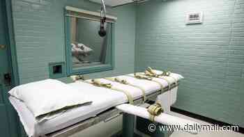 Drunk executioners, witnesses sprayed with deadly chemicals and prisoners set on fire: After Christa Pike survives lethal injection, America's shameful botched executions