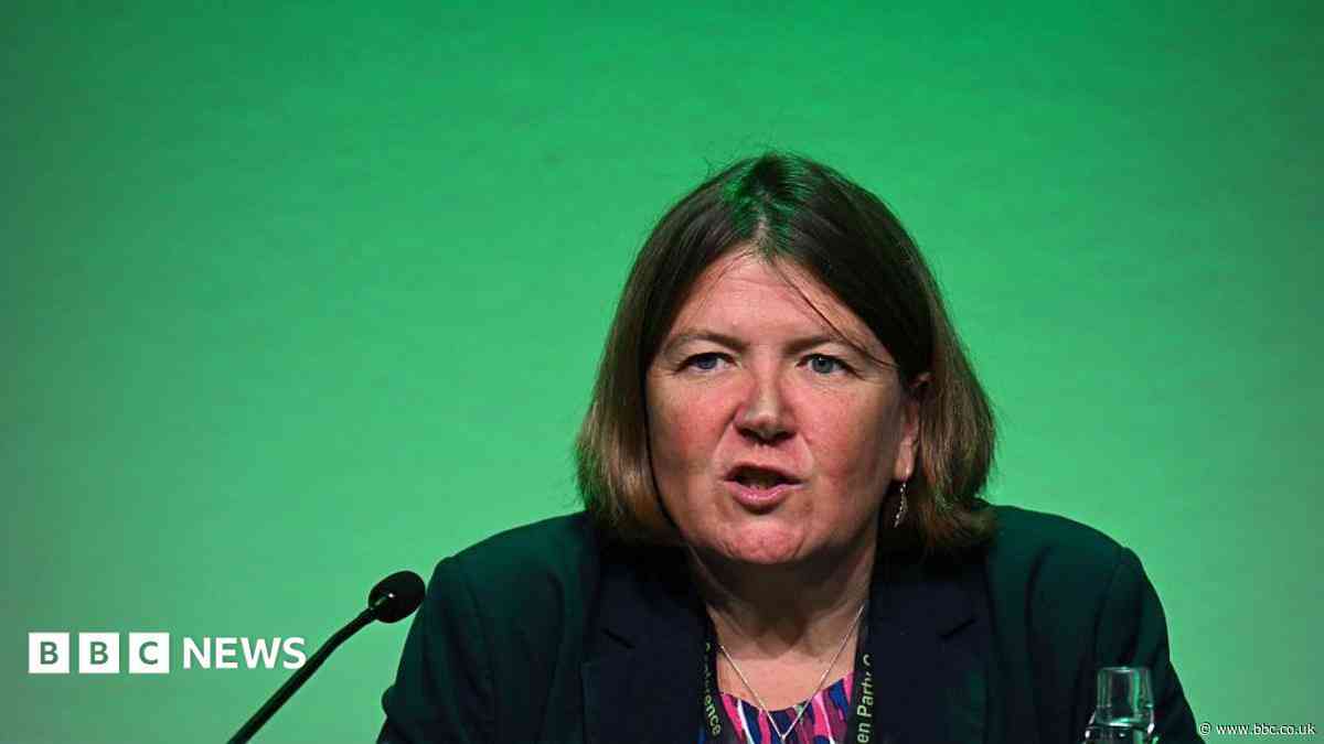 Green Party MP wants to make sure it is 'not vulnerable to extremists'