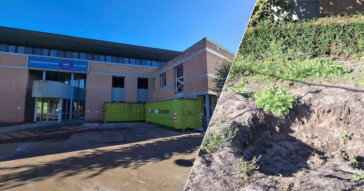 Hoorzitting over bomen in Haaren roept vraag op: kapt Oisterwijk al voordat bezwaar rond is?