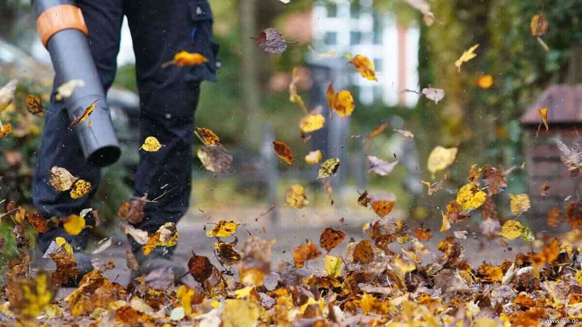 Rutschiges Laub auf Gehwegen: Wann Mieter und Eigentümer in NRW fegen müssen