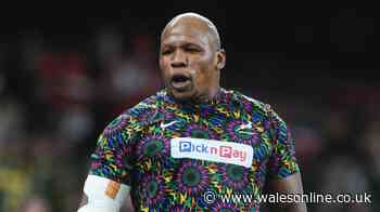 South Africa launch investigation as Springboks legend accused over incident
