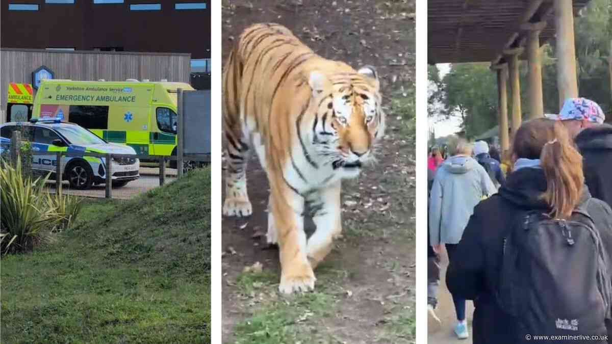 Yorkshire Wildlife Park shut LIVE updates after visitor mauled to death by tiger, visitors 'distract' and park statement